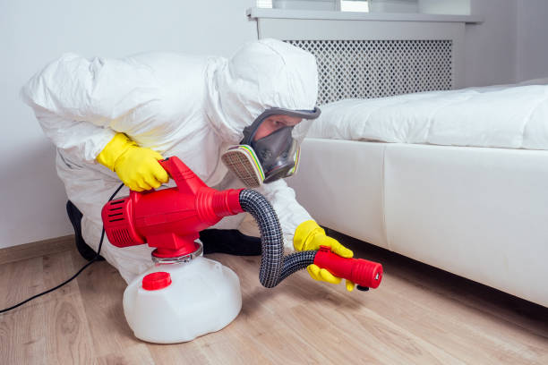 Best Bed Bug Extermination  in Temesl Valley, CA